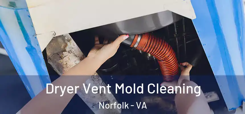 Dryer Vent Mold Cleaning Norfolk - VA