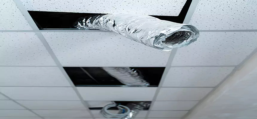 Our Air Duct Pet Hair Removal Services in Norfolk, VA