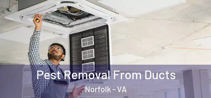  Pest Removal From Ducts Norfolk - VA