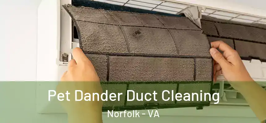  Pet Dander Duct Cleaning Norfolk - VA
