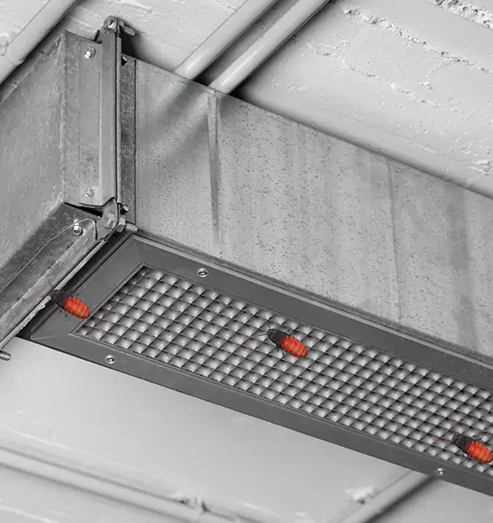 About Air Duct Cockroach Removal in Norfolk, VA