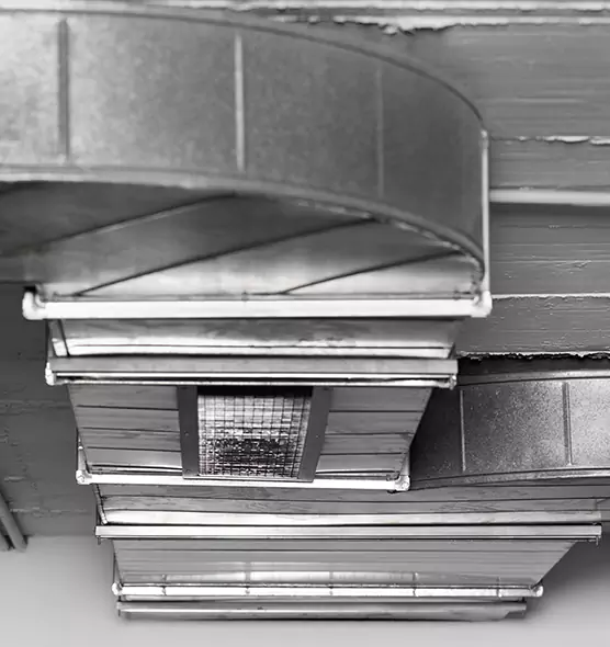 Professional Air Duct Pet Hair Removal in Norfolk, VA