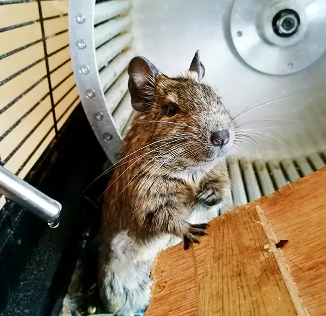 Why Homeowners & Businesses Trust Us Norfolk, VA