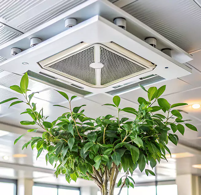 Why Homeowners & Businesses Trust Us in Norfolk, VA